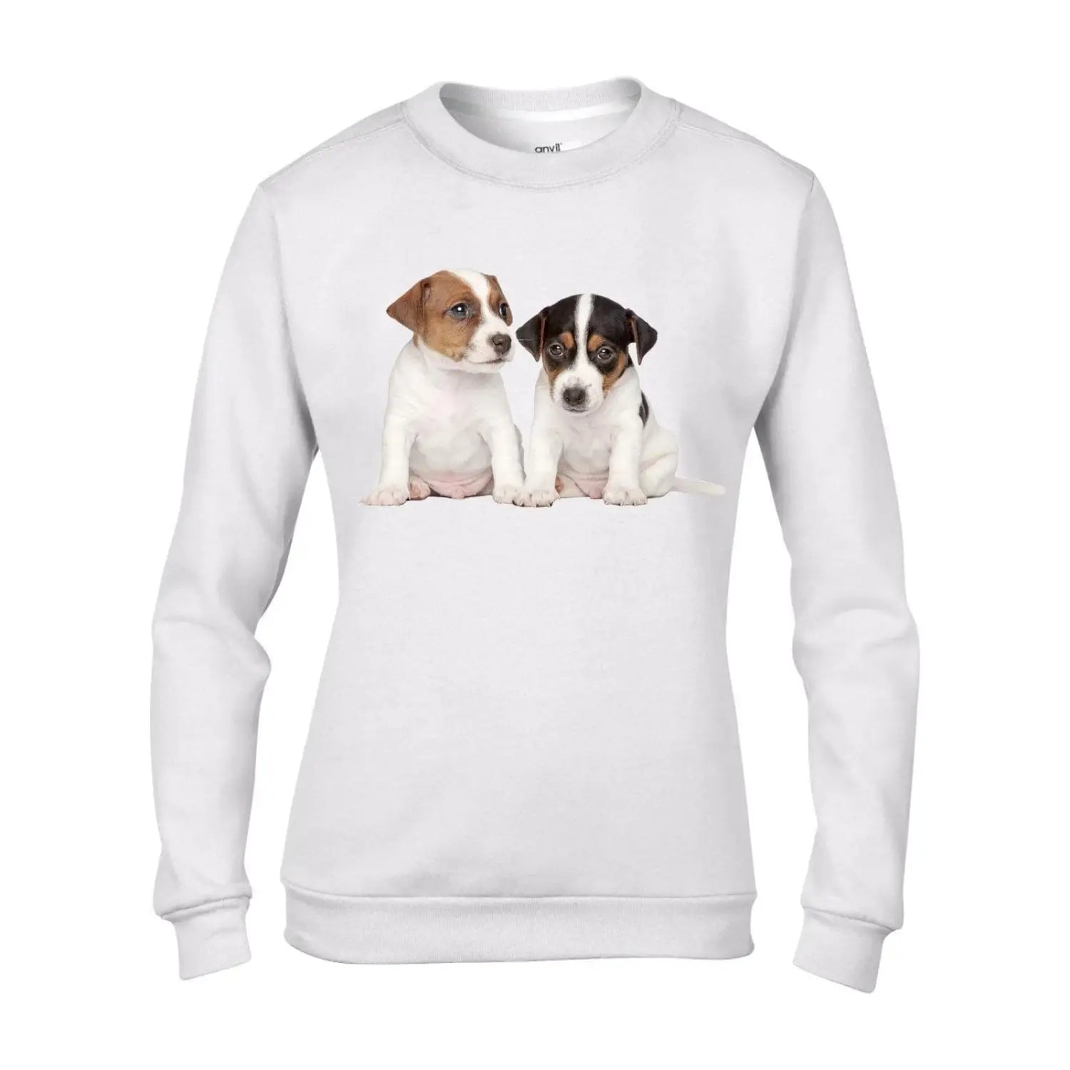 Jack russell jumper hotsell